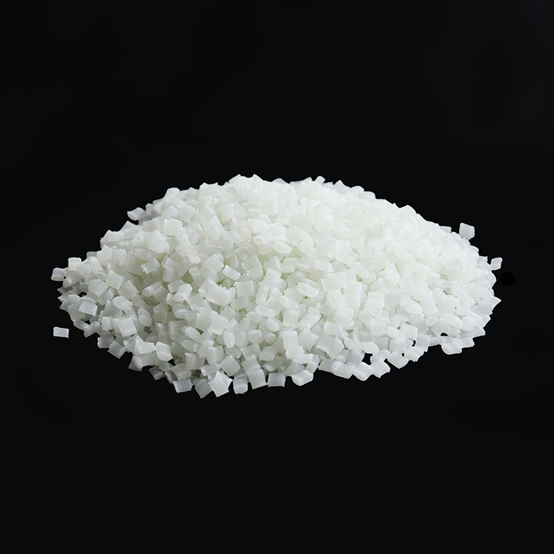 বর্ধিত PA6 চিপস